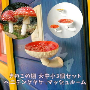 I A}j^pZi xjeO^P ̂ ŃLmR  咆3_Zbg  }bV[ rU[ CeA G Amanita muscaria