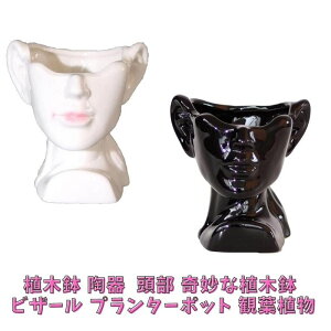 Aؔ    ȐAؔ rU[ v^[ A[g _   ϗtA T{e AɍœK