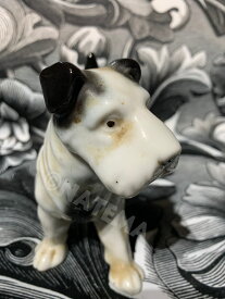 【中古】ミニチュアシュナウザー 陶器 犬 置き物 置物 骨董 ビンテージ ヴィンテージ アンティーク 1点物