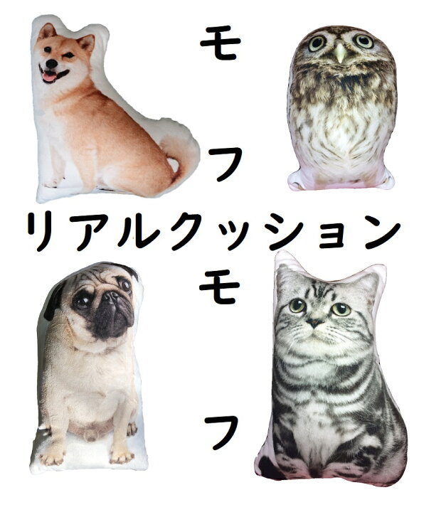 楽天市場 もふもふ クッション 3d リアル 高画質 プリントネコ アメリカンショートヘアー 柴犬 クッション パグ 雑貨 グッズ 柴犬 猫 蝶 柴犬 フクロウ 梟 フワフワ 枕 抱き枕 Shop Wigggy個性派寝具生活様式店