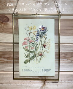 押し花 フレーム ガラスの人気商品 通販 価格比較 価格 Com