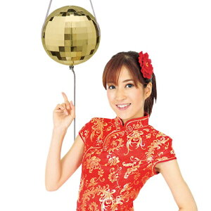 S[f~[{[ U炩Ȃ NbJ[ p[eB[ EGfBO グ CX^f 