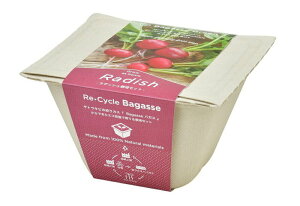 聖新陶芸 GD-95301 バガスグリーン ラディッシュ エコ容器で育てる野菜栽培セット 観葉植物 インスタ映えの ガーデニング