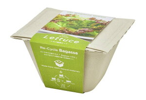 V| GD-95303 oKXO[ ^X GReňĂ؍͔|Zbg CX^f ϗtA K[fjO