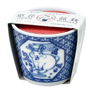 聖新陶芸 染付小紋 草花BONSAI ウサギ ワイルドストロベリー GD-102201 栽培セット ガーデニング 父の日 母の日 ギフト 盆栽