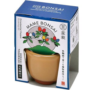 V| HACO MAME ~͍͔|Zbg ܐFƂ炵 GD-96504 ͔|Zbg ̓ K[fjO ̓ Mtg