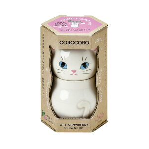 V| RR Lbg /ChXgx[ GD-102603 v[g ͔|ZbgMtg