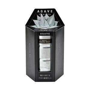 V| AKx͔|Lbg `^m^ u[ GD-104602 ͔|ZbgMtg v[g