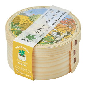 V| Lxm ~Yi GD-105003 Mtg ̓ K[fjO ͔|Zbg ̓