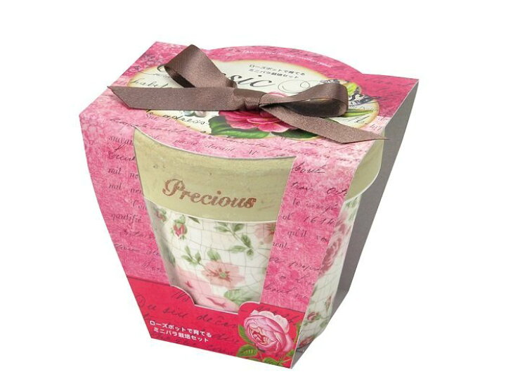 楽天市場 クラシックローズ ミニバラ栽培セット 薔薇栽培キット 観葉植物 ガーデニング 聖新陶芸 ギフト プレゼント ウィッグの専門店ウィッグランド