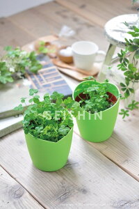 GD-592 Ƃ݂lt̃N[o[͔|Zbg ͔|Lbg n[u ͔|Zbg