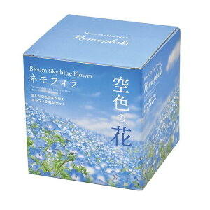 V| GD-929 F̉ ltB͔|Zbg Sky blue Flower -Nemophila- Mtg ͔|Zbg CX^f v[g ltB ϗtA K[fjO CeAG