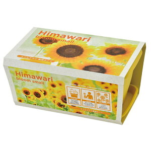 V| GD-93201 ENJOY PLANTER FLOWER GWCv^[ t[ ~jq}