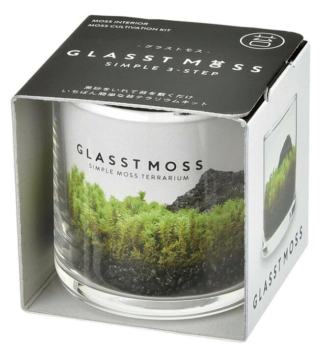 楽天市場 グラストモスｓ Glasstmoss 苔テラリウム コケ栽培セット ガーデニング プレゼント ギフト 観葉植物 聖新陶芸 インテリア雑貨 ウィッグの専門店ウィッグランド