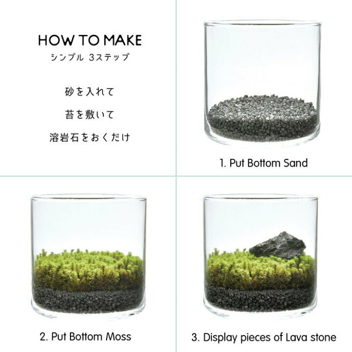 楽天市場 グラストモスl Glasstmoss 苔テラリウム コケ 栽培セット ガーデニング 観葉植物 インテリア雑貨 プレゼント 聖新陶芸 ギフト ウィッグの専門店ウィッグランド