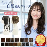 【メッシュ・グラデの新色発売】ヘアピース ちょびっと白髪隠しウィッグ 長さが選べるロング/スタンダー…