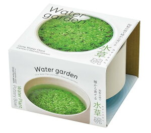 V| GD-986 q S Mtg ̊Ŏ킩Ă ͔|Lbg