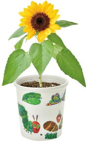 V| HP-01-04 ͂؂ނ ؂؂͔|Zbg ~jq} GbNJ[ Mtg q͔|Lbg