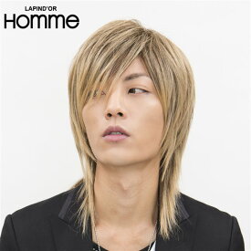 楽天市場 ウィッグ メンズ ロングの通販