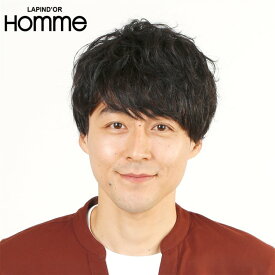 ウィッグ エクステの専門店 ウィッグランド楽天市場店 メンズウィッグ 男性用かつらページ ウィッグ エクステの専門店 ウィッグランド楽天市場店 メンズウィッグ 男性用かつらページ