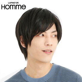 メンズウィッグ 男性用かつら ウイッグ J-5615 ナチュラルレイヤー ブラック メンズウイッグ ラパンドアール 送料無料