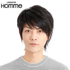 ウィッグ メンズ 黒 メンズウィッグ 男性用かつらスタンダードショート スタンダードブラック J-5786 ラパンドアール 送料無料
