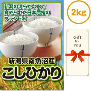 y[֑Ή10܂Łz Mtg V싛YЂ2kg sf-001-gf ̓  j  Ε ԗi i a ̓