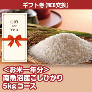 yMtg iiMtgz ĈN 싛YЂ5kgR[X sbsc-rice2-gf ̓ a ̓ i ԗi  j  Ε