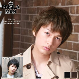 メンズウィッグ プリシラマン MA-100 スタイリッシュショート（男性用かつら） 日本製耐熱ファイバー メンズウイッグ 送料無料