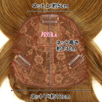 つむじ付きあみこみ前髪ウィッグ/プリシラTFX-10あみこみバングスプラス日本製耐熱ファイバー仕様【10P29Jul16】