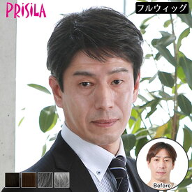 メンズも使えるウィッグ ウィッグ メンズウィッグ プリシラ 男性用かつら ミニマムショート（A-111） 【人工頭皮がついてリニューアル】グレーカラー グレイカラー グレイヘア 白髪展開あり 送料無料