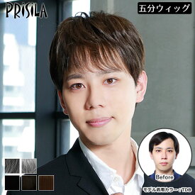 ウィッグ 男性用 男性用部分かつら 男性用五分ウィッグ 部分ウィッグ ストレートショート メンズウィッグ プリシラ（GB-21） 送料無料