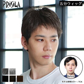 ウィッグ メンズ 部分ウィッグ 男性用部分かつら 男性用五分ウィッグ 部分ウィッグ レイヤーショート メンズウィッグ プリシラ（GB-22） 送料無料