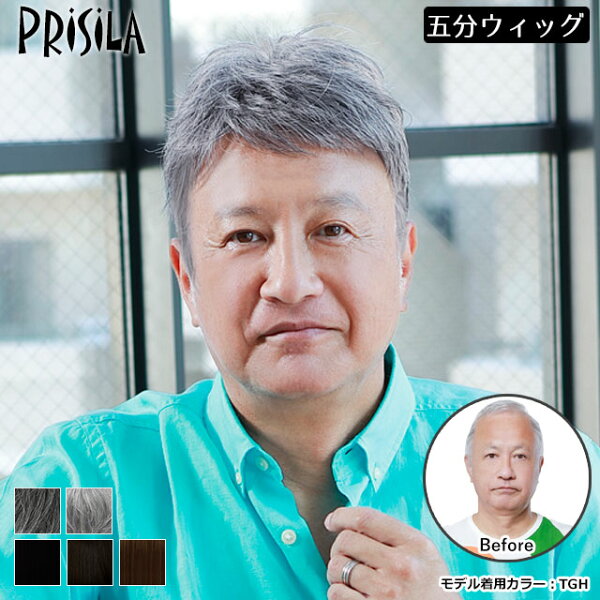 白髪男性用かつら 男性用部分かつら 男性用五分ウィッグ 部分ウィッグ レイヤーショート グレイヘアー グレイカラー メンズウィッグ プリシラ（GB-22） 送料無料
