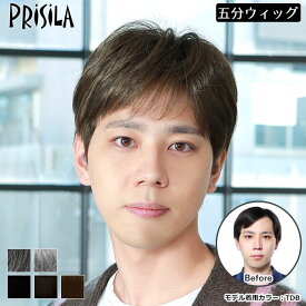 ウィッグ メンズ部分ウィッグ 男性用かつら 男性用部分かつら 男性用五分ウィッグ 部分ウィッグ ミディアムショート メンズウィッグ プリシラ（GB-24） 送料無料