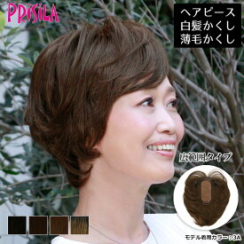 【11/16まで最大10%OFFクーポン対象】ヘアピース耐熱 プレミアム白髪隠しウィッグ (広範囲ナチュラルショートタイプ) ウイッグ ST-009 薄毛隠し カバーピース 部分手植え シルクスキン 送料無料
