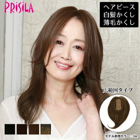 【11/16まで最大10%OFFクーポン対象】ヘアピース耐熱 プレミアム白髪隠しウィッグ (広範囲ワンレンロングタイプ) ウイッグ ST-011 薄毛隠し カバーピース 部分手植え シルクスキン 送料無料