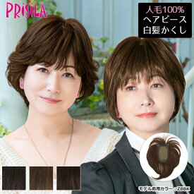 【11/16まで最大10%OFFクーポン対象】人毛100％ ヘアピース耐熱 白髪隠しウィッグ ショート ウイッグ ST-101 薄毛隠し カバーピース 部分手植え 軽くて自然 送料無料