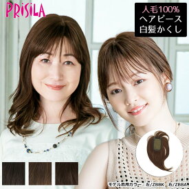 【11/16まで最大10%OFFクーポン対象】ウィッグ 人毛 部分ウィッグ 薄毛 頭頂部 つむじ 自然 ヘアピース 人毛100％白髪隠しウィッグ ロング ウイッグ ST-102 薄毛隠し カバーピース 部分手植え 軽くて自然 送料無料