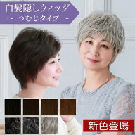 【ラストスパート！10％OFFクーポン対象】【新色発売 】部分ウィッグ 頭頂部 カバー 薄毛 白髪 ヘアピー…