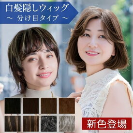 【新色発売 】部分ウィッグ ハイライト 頭頂部 白髪かくし 分け目の白髪、薄毛をウィッグで簡単カバー グレイヘア メッシュ グレイカラー 染めない ヘアピース トップピース 白髪隠しウィッグ (分け目タイプ) ウイッグ ST-005 カバーピース プリシラ