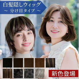【5％OFFクーポン対象】【新色発売 】部分ウィッグ ハイライト 頭頂部 白髪かくし 分け目の白髪、薄毛を簡単カバー グレイヘア メッシュ グレイカラー 染めない ヘアピース トップピース 白髪隠しウィッグ (分け目タイプ) ウイッグ ST-005 カバーピース プリシラ