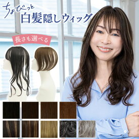 【11/16まで最大10%OFFクーポン対象】【新作】ヘアピース ちょびっと白髪隠しウィッグ 長さが選べるロング/スタンダード 自然に馴染む ST-012 ST-012L トップピース トップカバー 部分ウィッグ 薄毛 白髪染め 部分かつら 軽量 プリシラ 頭頂部 カバー
