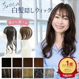 【1/25まで10％OFFクーポン対象】【新作】ヘアピース ちょびっと白髪隠しウィッグ 長さが選べるロング/スタンダード 自然に馴染む ST-012 ST-012L トップピース トップカバー 部分ウィッグ ハイライト 薄毛 白髪染め 部分かつら 軽量 プリシラ 頭頂部 カバー