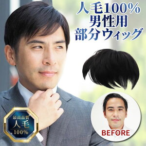 【10%OFFクーポン対象】メンズ 部分ウィッグ 人毛100%メンズヘアピース 男性用 男性用部分かつら 男性用部分ウィッグ メンズウィッグ 薄毛かくし 白髪隠し 男性用薄毛カバーかつら TefuRe メ