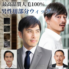 【白髪混の新色発売】メンズ 部分ウィッグ グレイヘア 黒髪 人毛100％メンズヘアピース 男性用 男性用部分かつら 男性用部分ウィッグ メンズウィッグ 薄毛かくし 白髪隠し 男性用薄毛カバーかつら TefuRe グレイカラー 富士達 送料無料