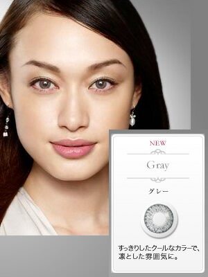 【送料無料!1DAYカラコン10枚×2箱組】フレッシュルックデイリーズグレー