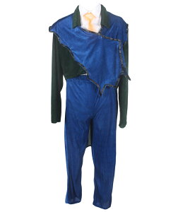 JCP-294 RX`[ RXv ߑ nEB NX}X p[eB[ ꎮ f Aj i