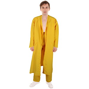 JCO-562 `ƉfLN^[ CG[RX`[[ t RX`[ RXv ߑ nEB NX}X p[eB[ ꎮ f Aj i