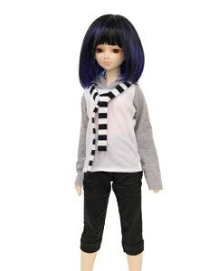 yWigs2dollszl`Eh[EBbO/WD60-008/{u/SD60/Super Dollfie/X[p[htB[/IWi/lCi/Beɂ/BJD/